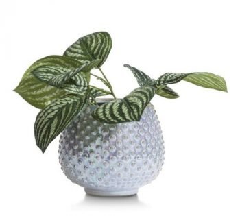 Bloempot 'Jewel', trendy bloempot, moderne bloempot, bloempot roze_paars, junglemush, 44476GRY-Jungle, 2
